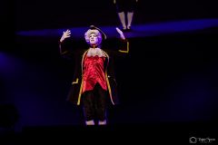 IMG_2485-scaled